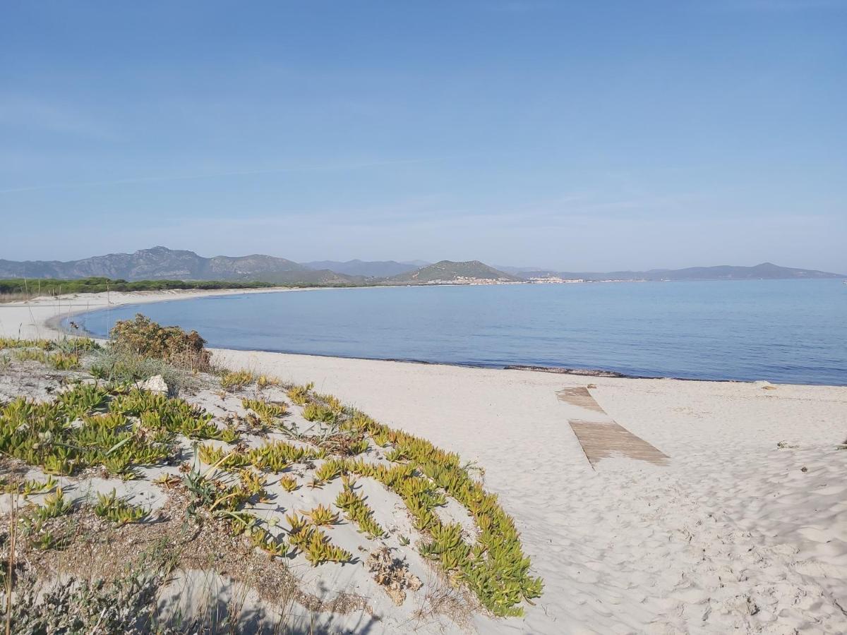 L'Appartamento Sul Borgo Santa Lucia  Dış mekan fotoğraf